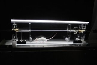 Product-image-DigiGait Imaging System