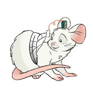 Product-image-JAGA wireless electrophysiology (EEG)