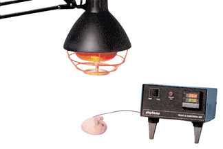 Product-image-Temperature Controller                                    